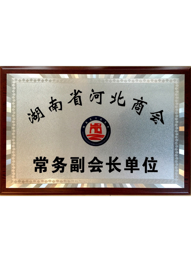 湖南省河北商會常務(wù)副會長單位.jpg